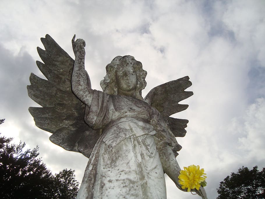 angel, wings, statue, sky, cloud - sky, tree, low angle view HD wallpaper