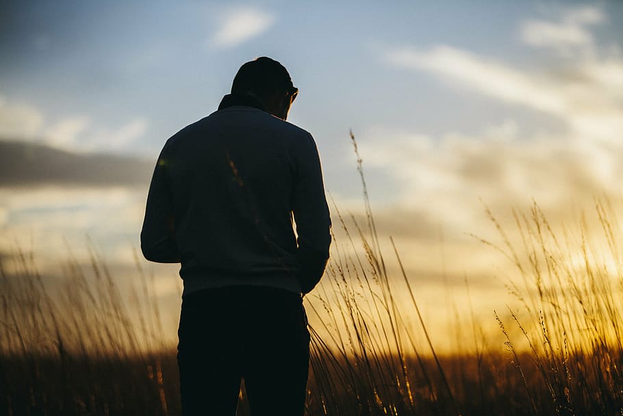 silhouette of man standing on grass, hipster, field, wheat HD wallpaper