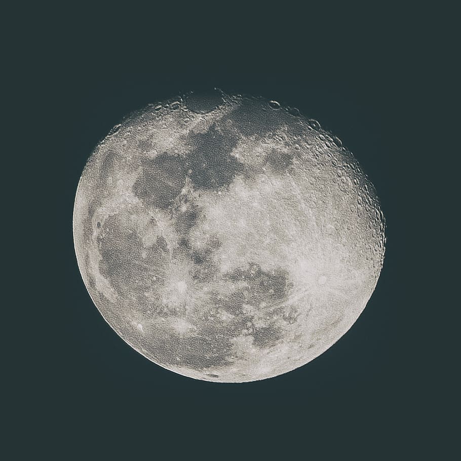 moon, close-up photography of moon, black background, grey, white HD wallpaper