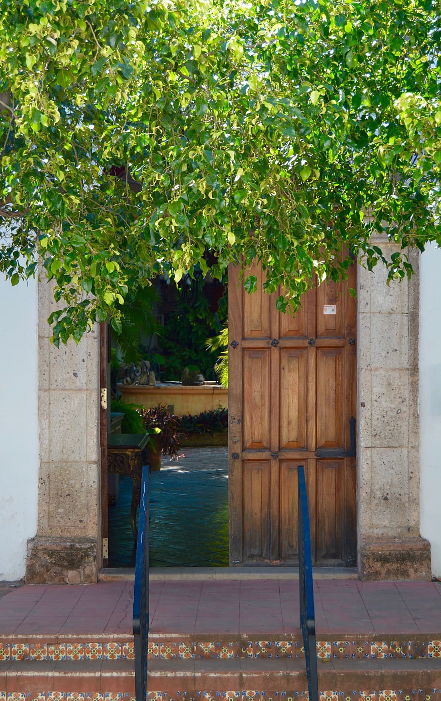door, colonial, facade, poplars, mexico, input, open, plant, HD wallpaper