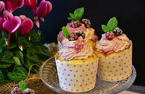 three cupcakes with white polka-dot cover on clear glass saucer HD wallpaper