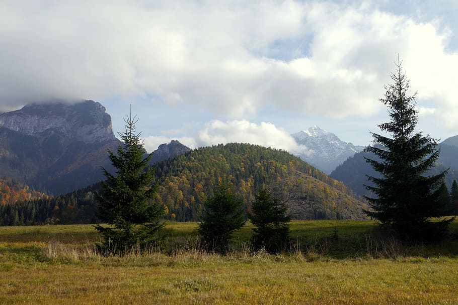 autumn, colors, clouds, trees, the sky, slovakia, nature, mountains HD wallpaper