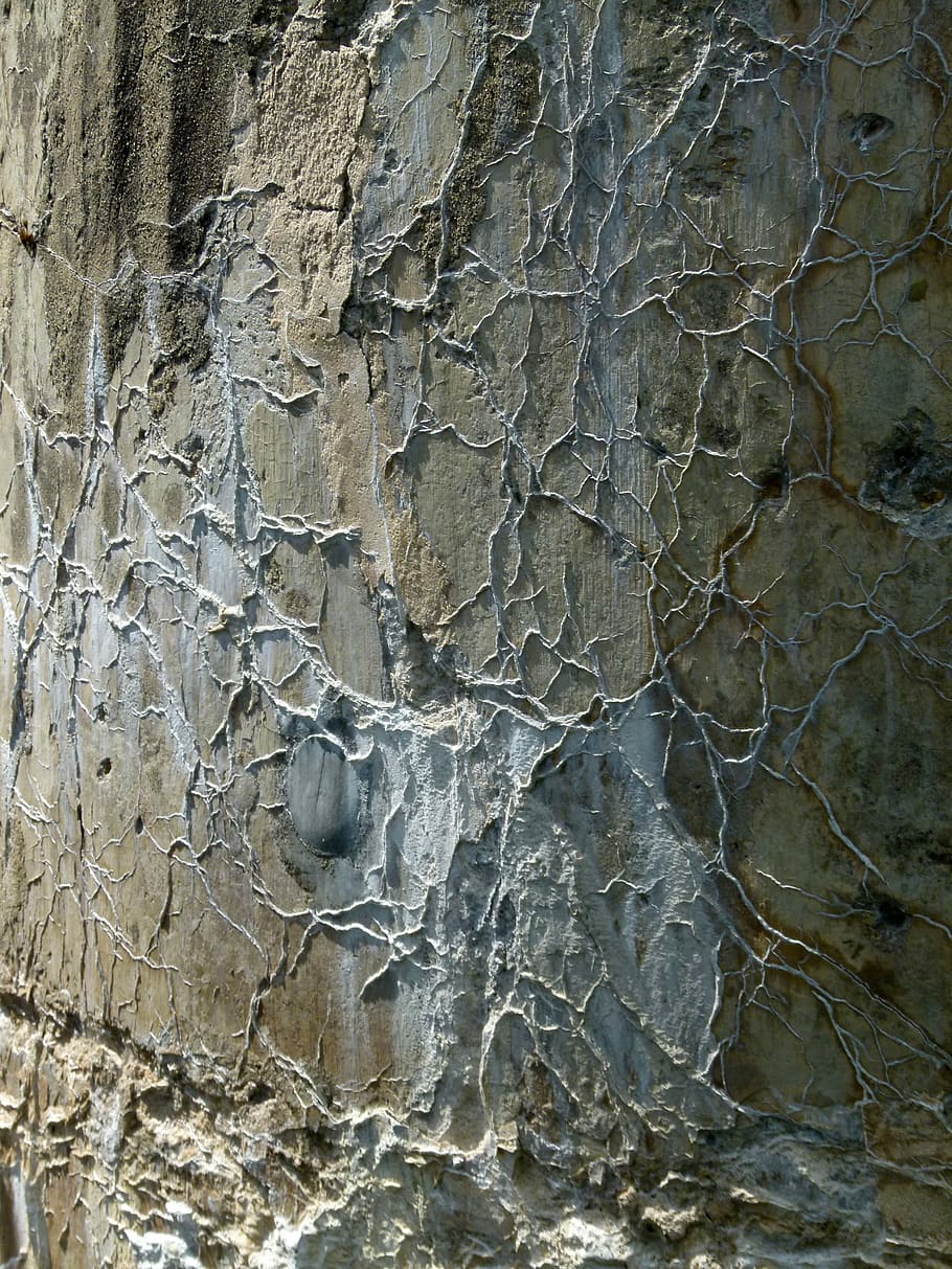 Cement, Leaching, Minerals, aging, concrete, cracked, damaged, HD wallpaper