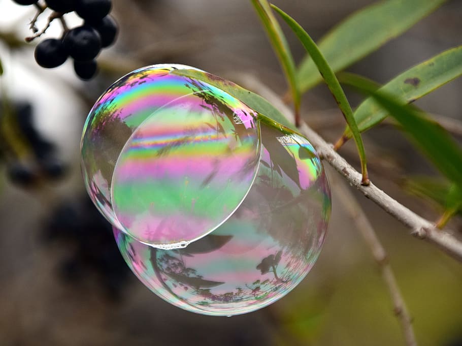Soap Bubble, Iridescent, colorful, ease, ball, reflection, depend HD wallpaper
