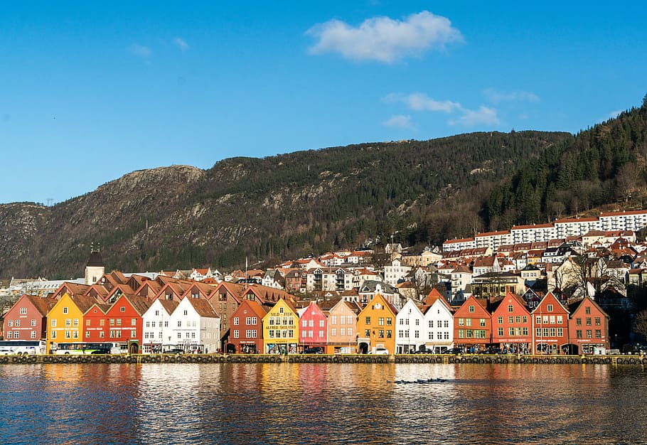 assorted-color houses beside body of water, norway, bergen, coast, HD wallpaper
