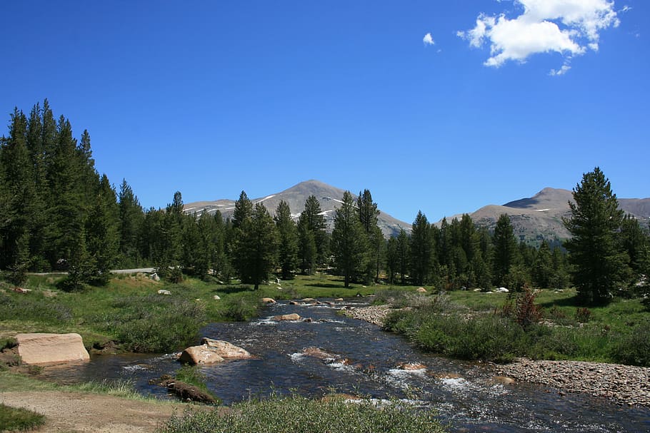 nature, tree, outdoors, landscape, mountain, yosemite, stream HD wallpaper