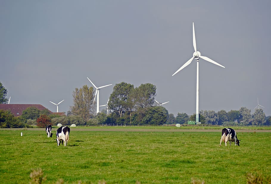 east frisia, pasture, dairy farming, windräder, wind power, HD wallpaper