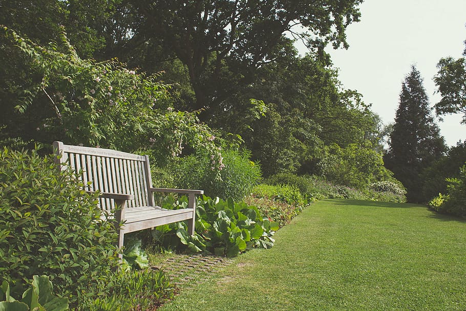 garden, nature, tree, bench, outdoors, grass, park - Man Made Space HD wallpaper