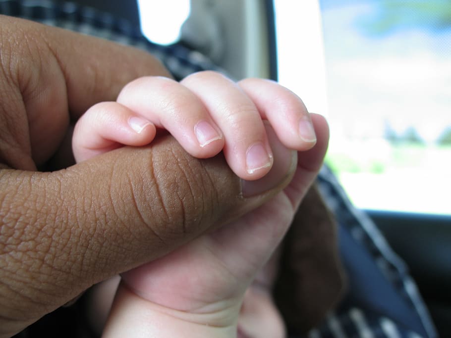 toddler holding adult's thumb, hands, close-up, children, baby