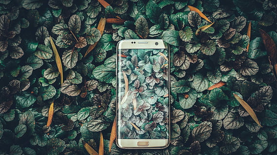 HD wallpaper: gold platinum Samsung Galaxy S7, waterfalls, phone,  smartphone | Wallpaper Flare