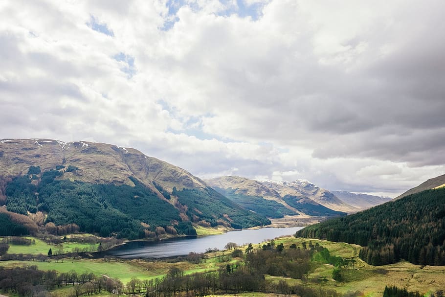 green, grass, trees, forest, nature, landscape, mountain, highland HD wallpaper