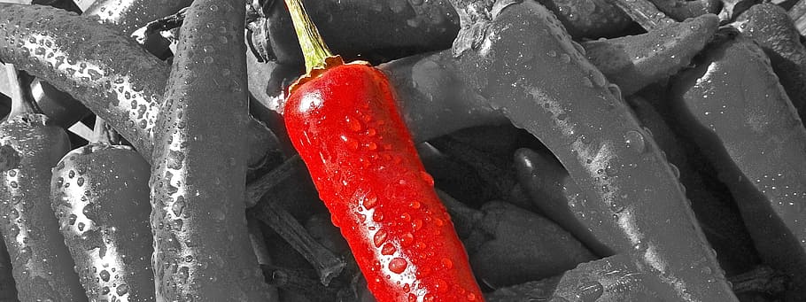 selective color chili pepper, Chilli, Pepper, Banner, Header HD wallpaper