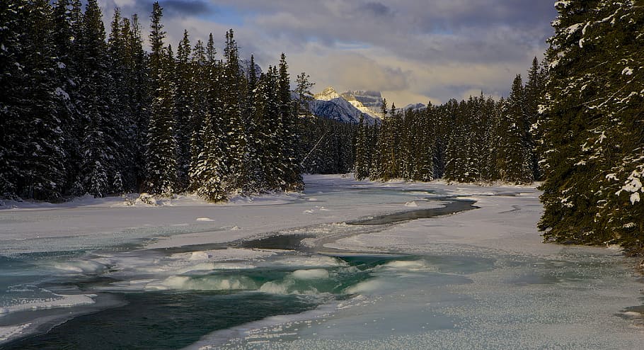 National Park, Canada, River, Ice, Water, landscape, scenic