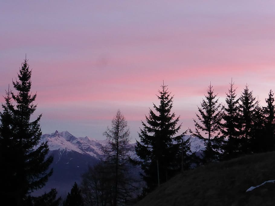 landscape, sunset, tree, nature, sky, evening, switzerland HD wallpaper