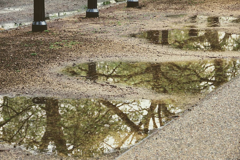rain water on gray soil, trees, mirroring, puddle, rainwater HD wallpaper