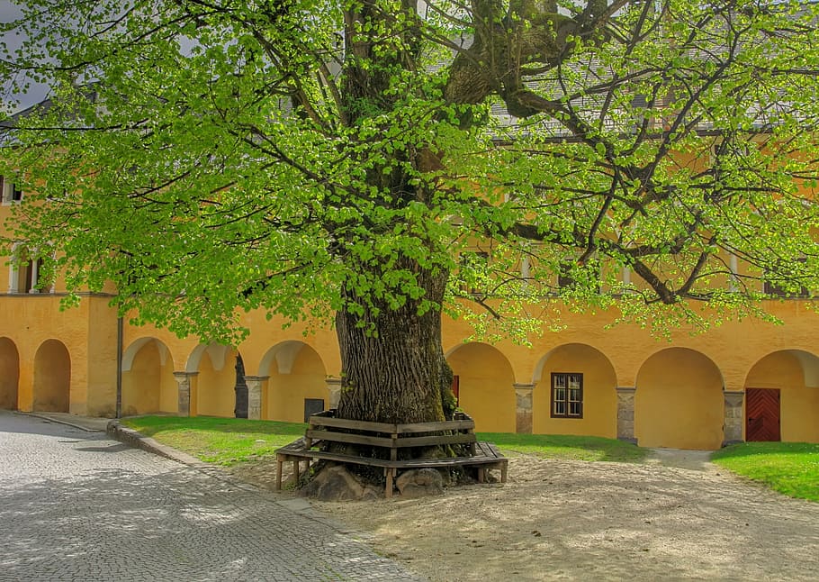 Linde, Pen, Monastery, Spring, Tree, architecture, built structure HD wallpaper