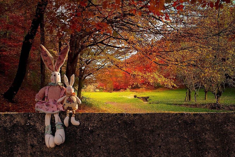 two white and pink rabbit plush toys on concrete wall with trees background, HD wallpaper