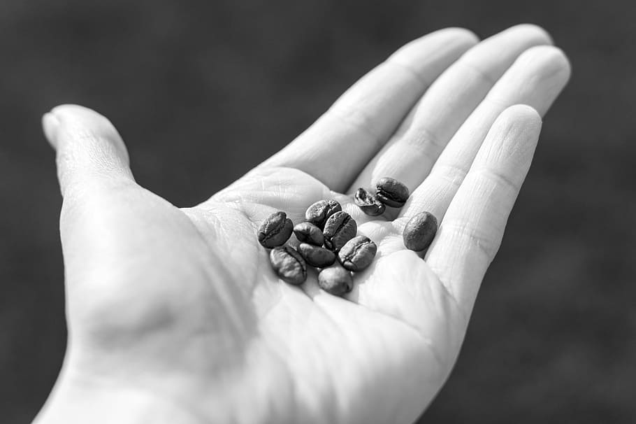grain, coffee, drink, hand, cup, background, woman, female HD wallpaper