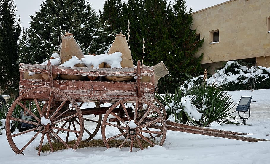 carriage, rides, trees, outside, snow, winter, carriage rides HD wallpaper