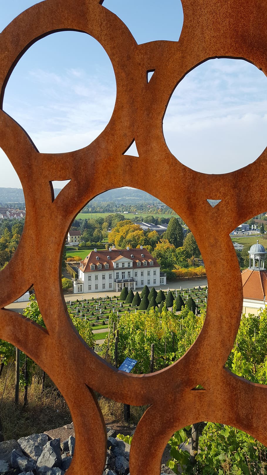 vineyard, distant view, schloss wackerbarth, architecture, sky HD wallpaper