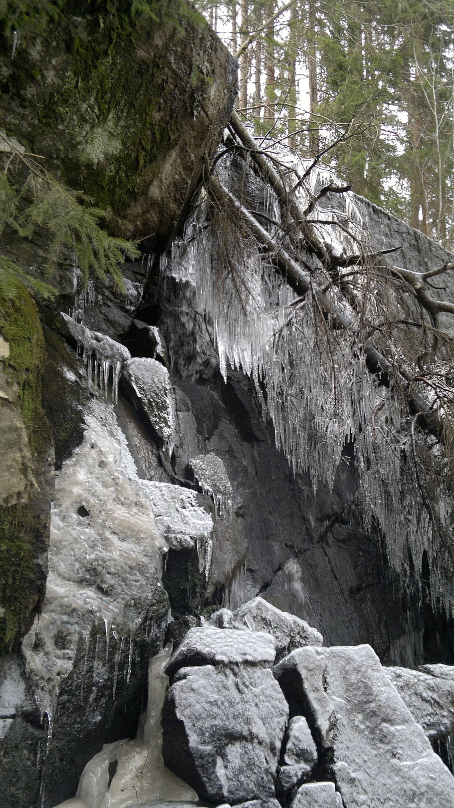 the ice, winter, snow, trees, rock, rock - object, solid, nature HD wallpaper