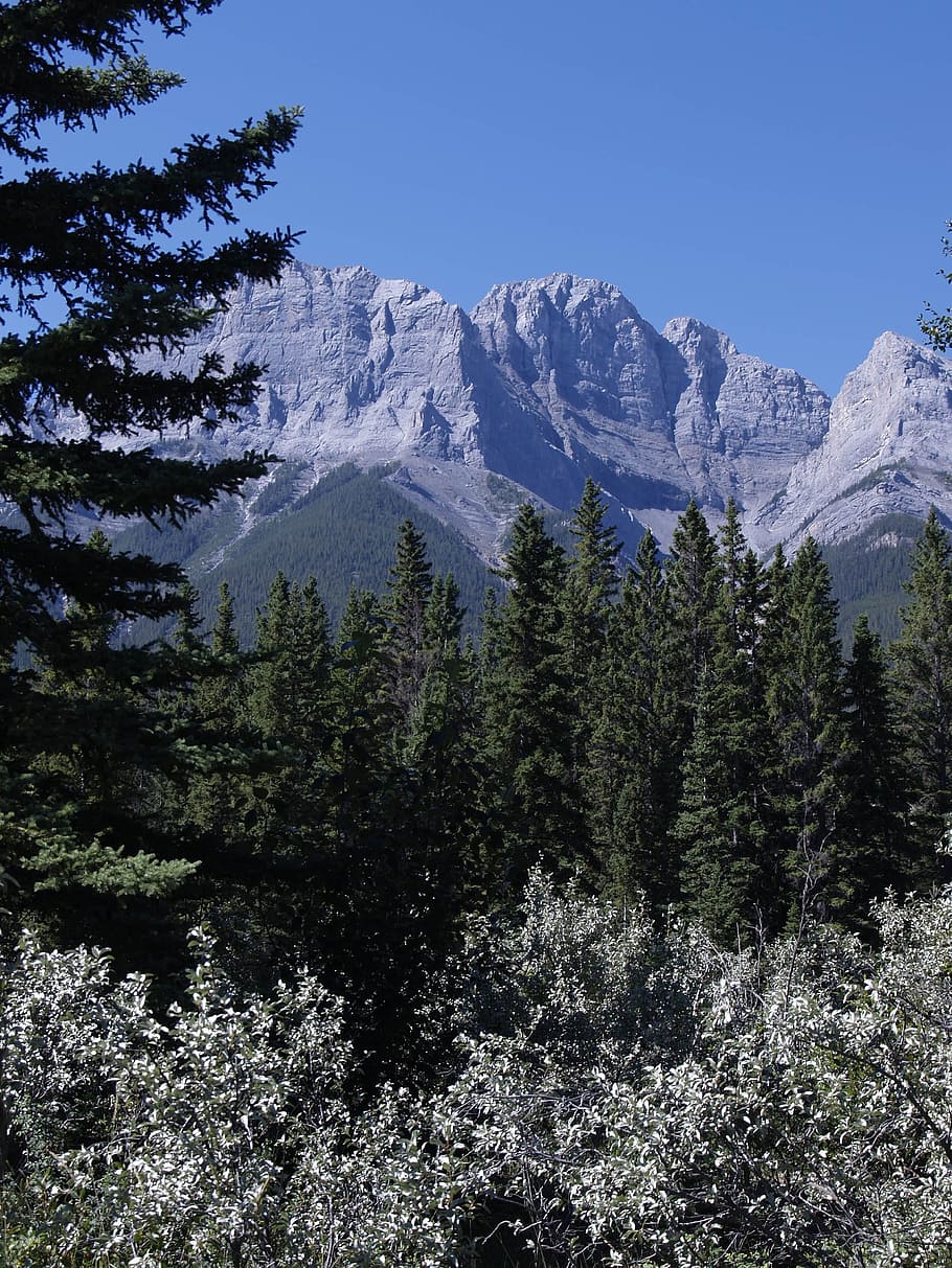 Canmore, Alberta, Canada, Mountains, forest, rocks, landscape HD wallpaper