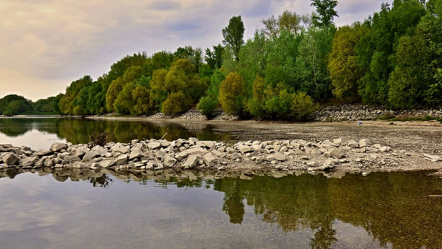 Danube, Rock, Tree, reflection, water, nature, outdoors, no people HD wallpaper