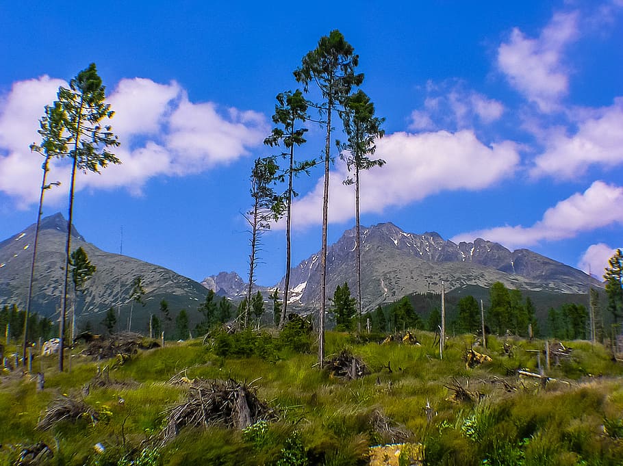 Apocalypse, Mountains, Trees, landscape, cloud - sky, nature HD wallpaper