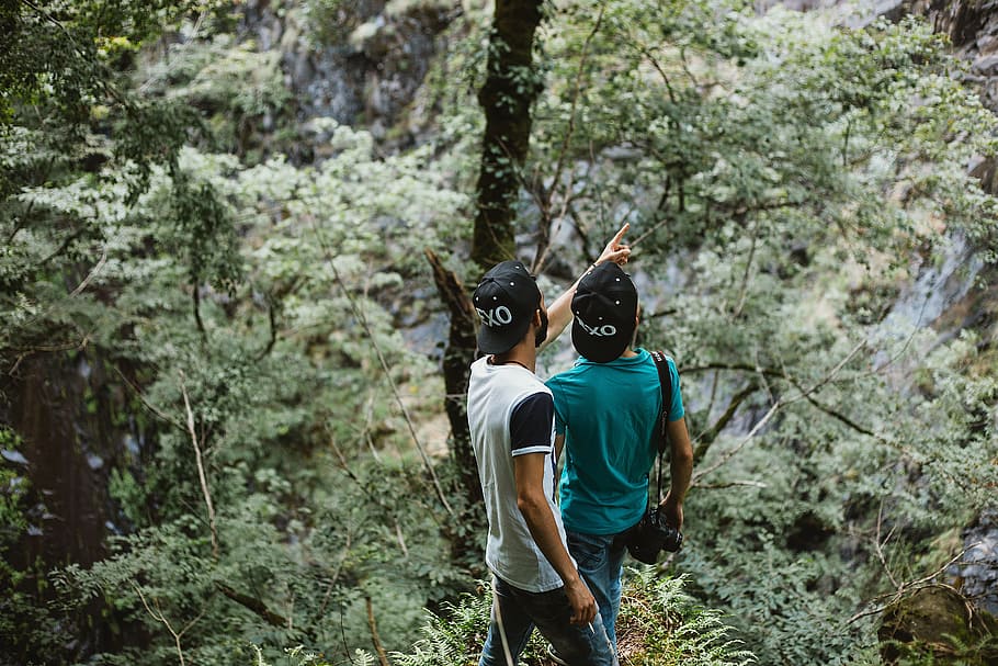 people, boys, guy, camera, photographer, travel, outdoor, green HD wallpaper