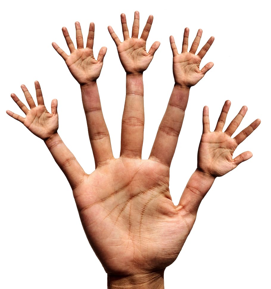 photo of person's right palm, hand, hands, finger, thumb, index finger