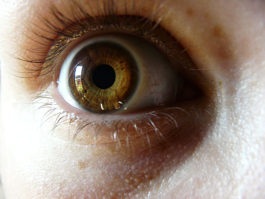 Human, Eyeball, Iris, Look, Vision, female, macro, pupil, human eye HD wallpaper