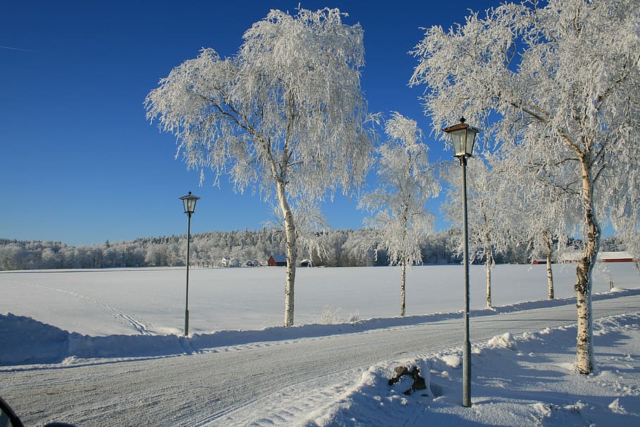 winter, snow, solar, white, cold, sweden, snowy, landscapes HD wallpaper