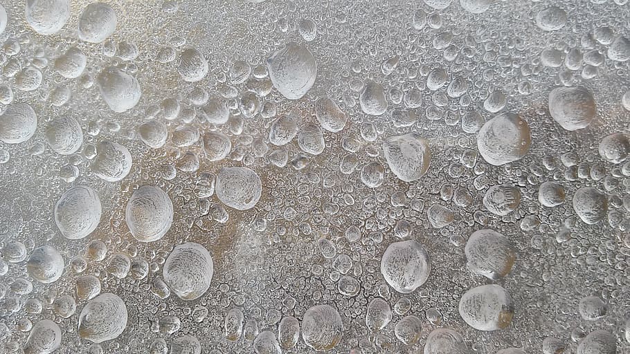 macro photography of water droplets, frozen, drip, ice, pattern HD wallpaper