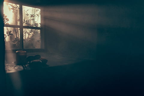 photography of sun through window, sunlight, frame, square HD wallpaper