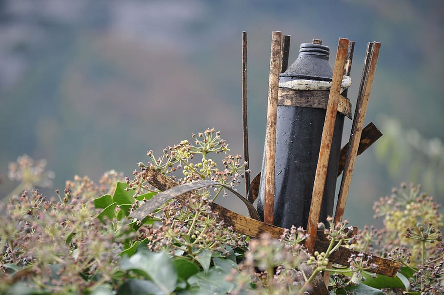 rustic, nature, torch, day, no people, plant, outdoors, focus on foreground HD wallpaper