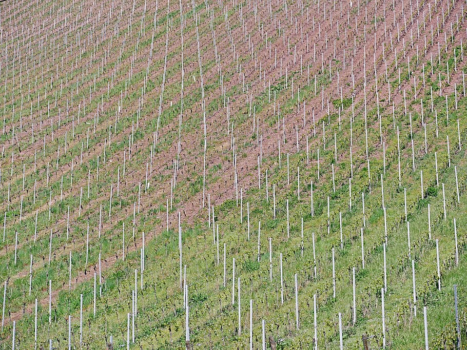 background, pattern, vineyard, slope, curved, bars, aluminium HD wallpaper