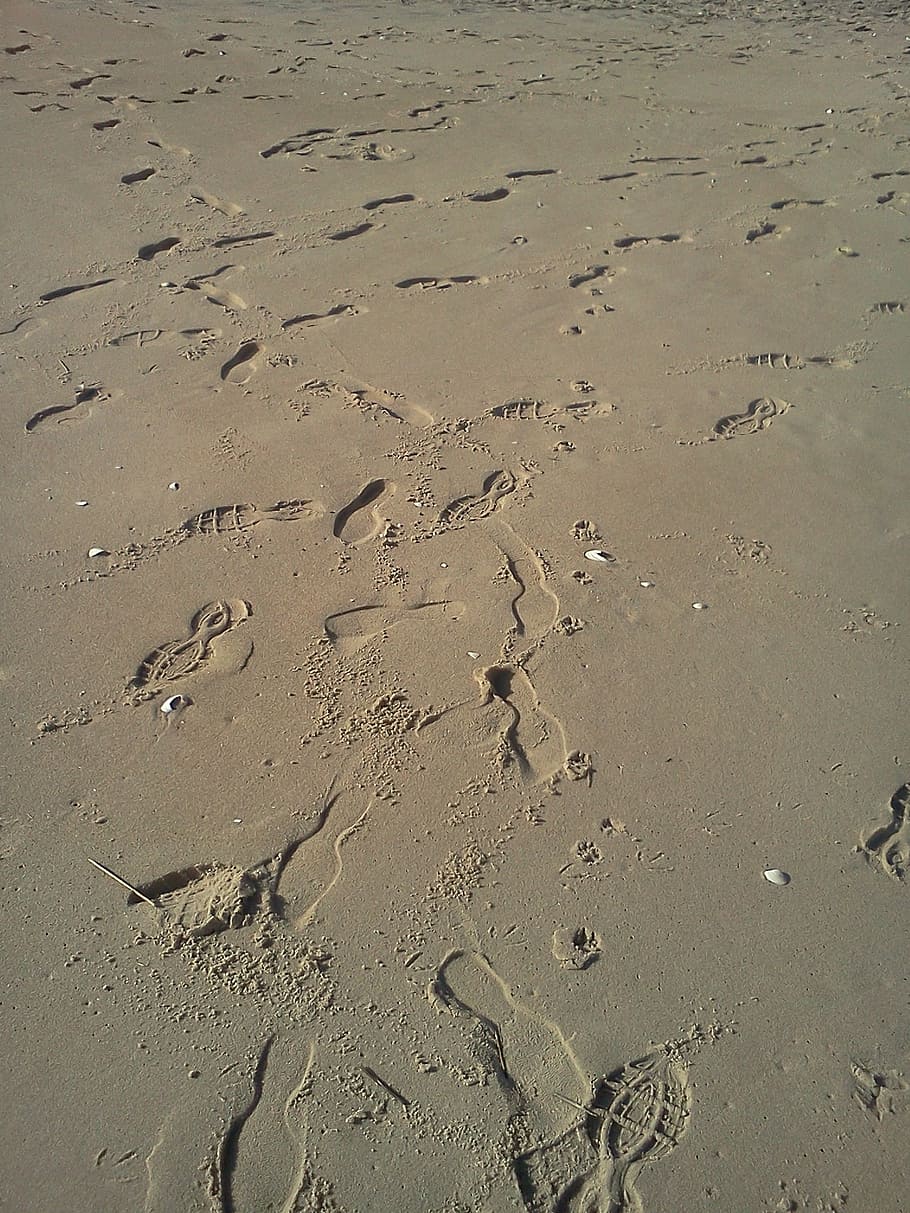 beach, sand, footprints, ocean, sea, travel, vacation, relax HD wallpaper
