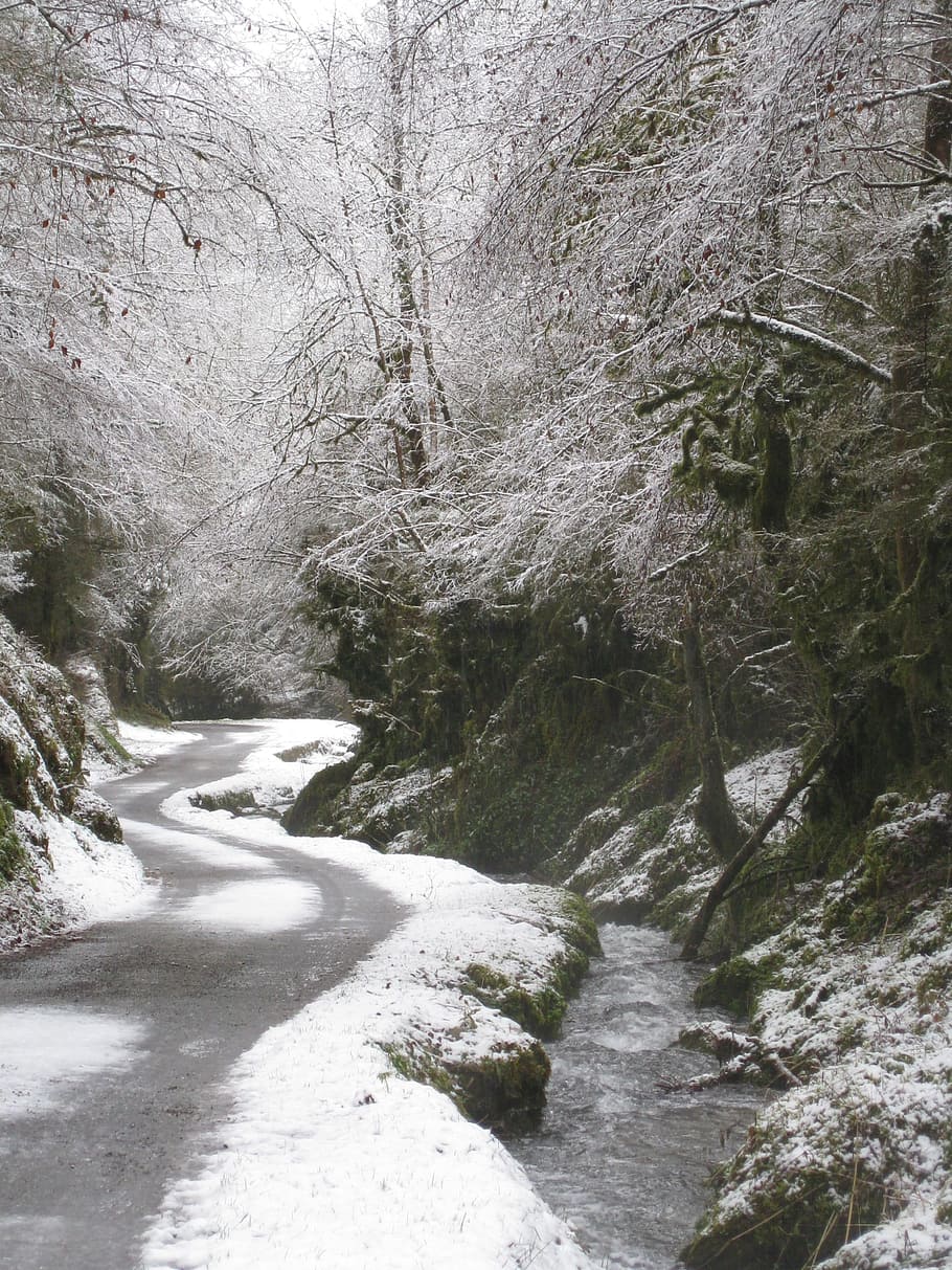winter, stream, snow, trees, parks, road, frozen, forest, cold temperature HD wallpaper