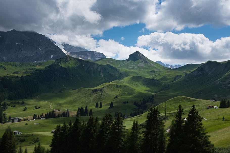 pine, trees, highland, mountain, green, grass, rural, house HD wallpaper