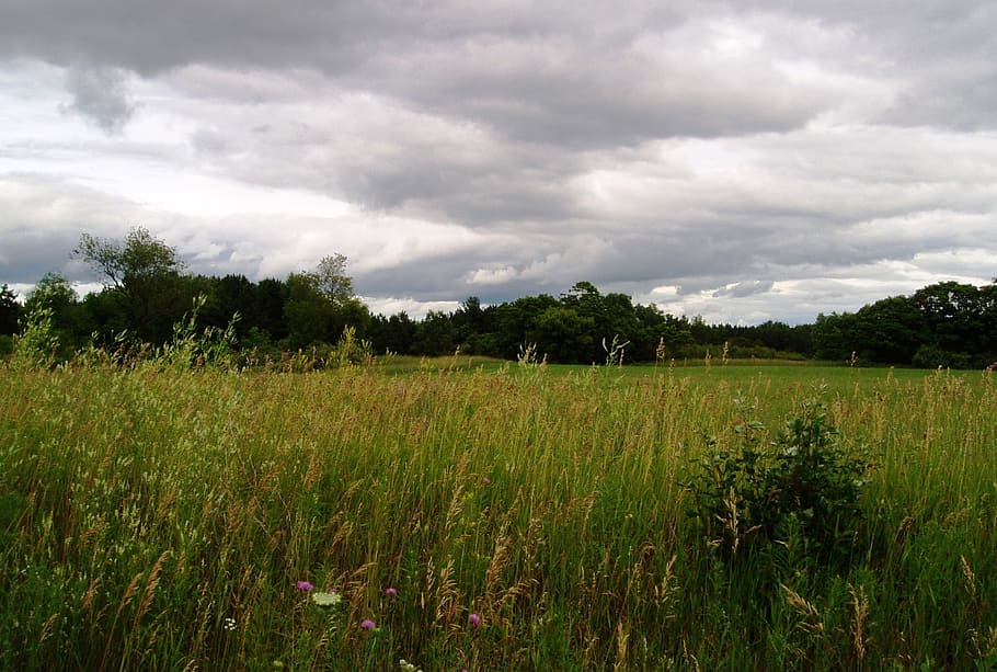 cloud, storm, landscape, wilderness, scenery, natural, outdoor HD wallpaper