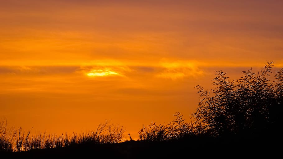 Twilight, Sunset, Dusk, sky, evening, sunlight, orange color HD wallpaper