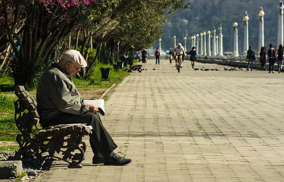 man sitting on bench near pathway, the old man, book, man reading book on bench HD wallpaper