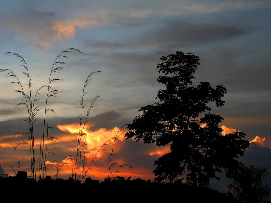 sunset, eventide, landscape, clouds, nature, tree, dusk, sky HD wallpaper
