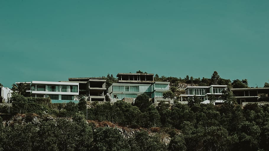 White and Gray Concrete Buildings With Green Trees Under Green Sky HD wallpaper