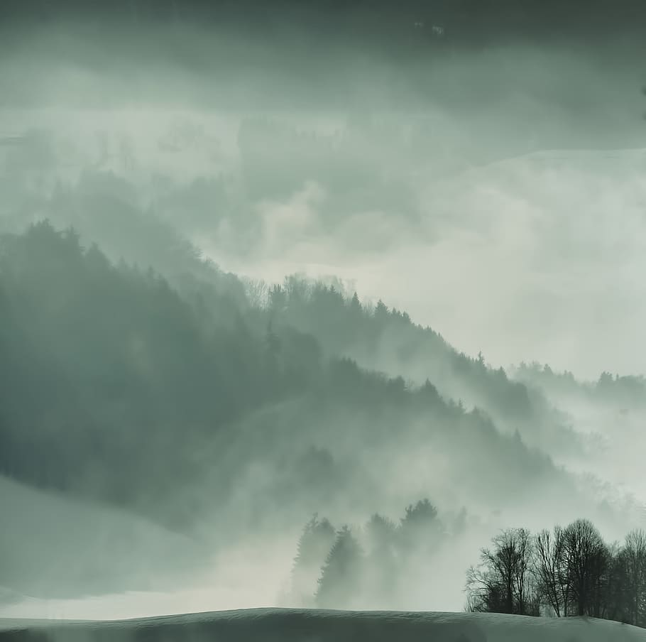 mountain covered with fog during nighttime, landscape photo silhouette of forest HD wallpaper