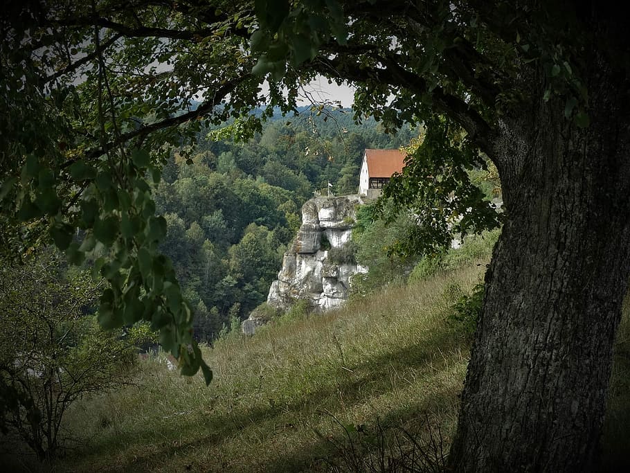Castle, Pottenstein, Tree, Ruin, Old, germany, middle ages HD wallpaper