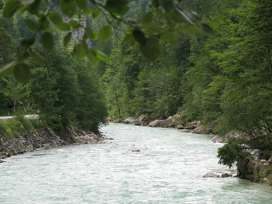 river, flowing, running water, plant, tree, beauty in nature HD wallpaper