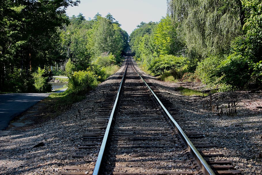 rails, railroad, distance, infinity, tree, rail transportation HD wallpaper