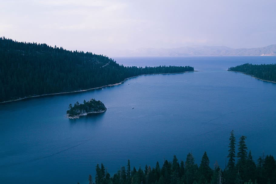 mountain, trees, plants, ocean, sea, lake, water, nature, landscape HD wallpaper