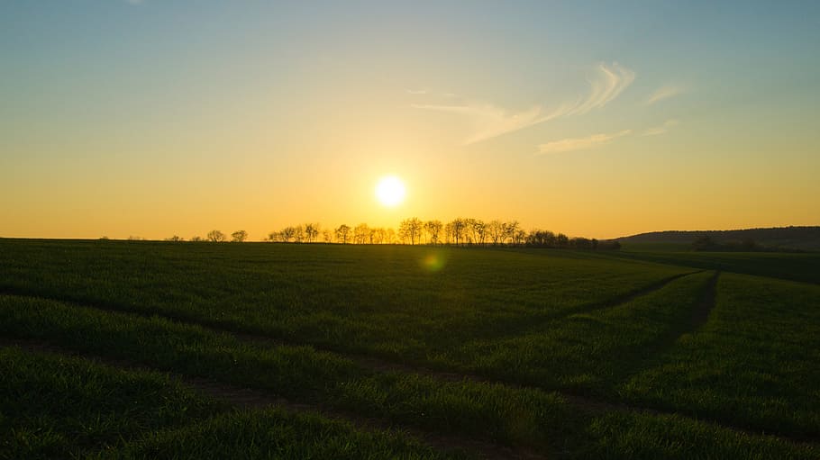 sunset, evening sky, landscape, field, scenics - nature, environment HD wallpaper